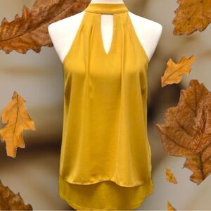 🌼HOST PICK🌼 NWT Bar III Sleeveless Chiffon Blouse